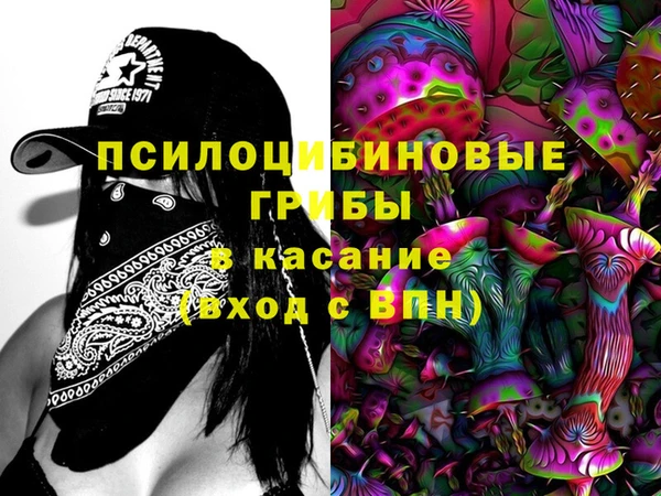 прущие грибы Лихославль