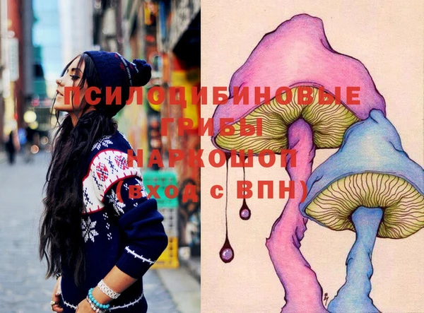 тгк Лиски