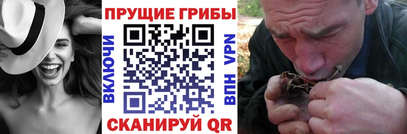 где продают   Сургут  Псилоцибиновые грибы ЛСД 