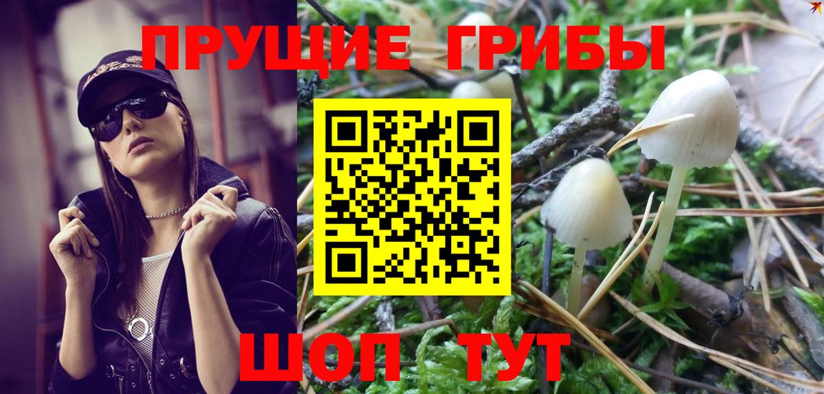 Галлюциногенные грибы GOLDEN TEACHER  Вход с VPN  Псилоцибиновые грибы Psilocybine cubensis  Сургут 
