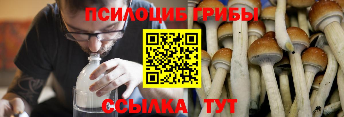 Амфетамин Сургут