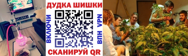 сколько стоит  Сургут  Конопля планчик 